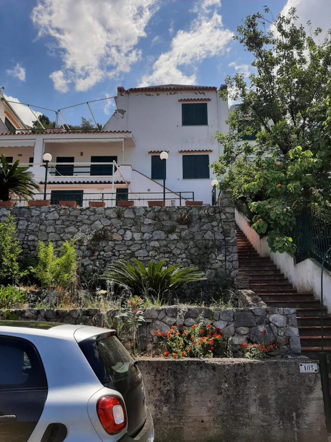 Arcomagno Guest House San Nicola Arcella Exterior foto